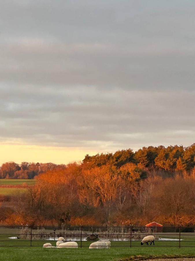 The Pheasantry Bed & Breakfast Wymondham  Dış mekan fotoğraf